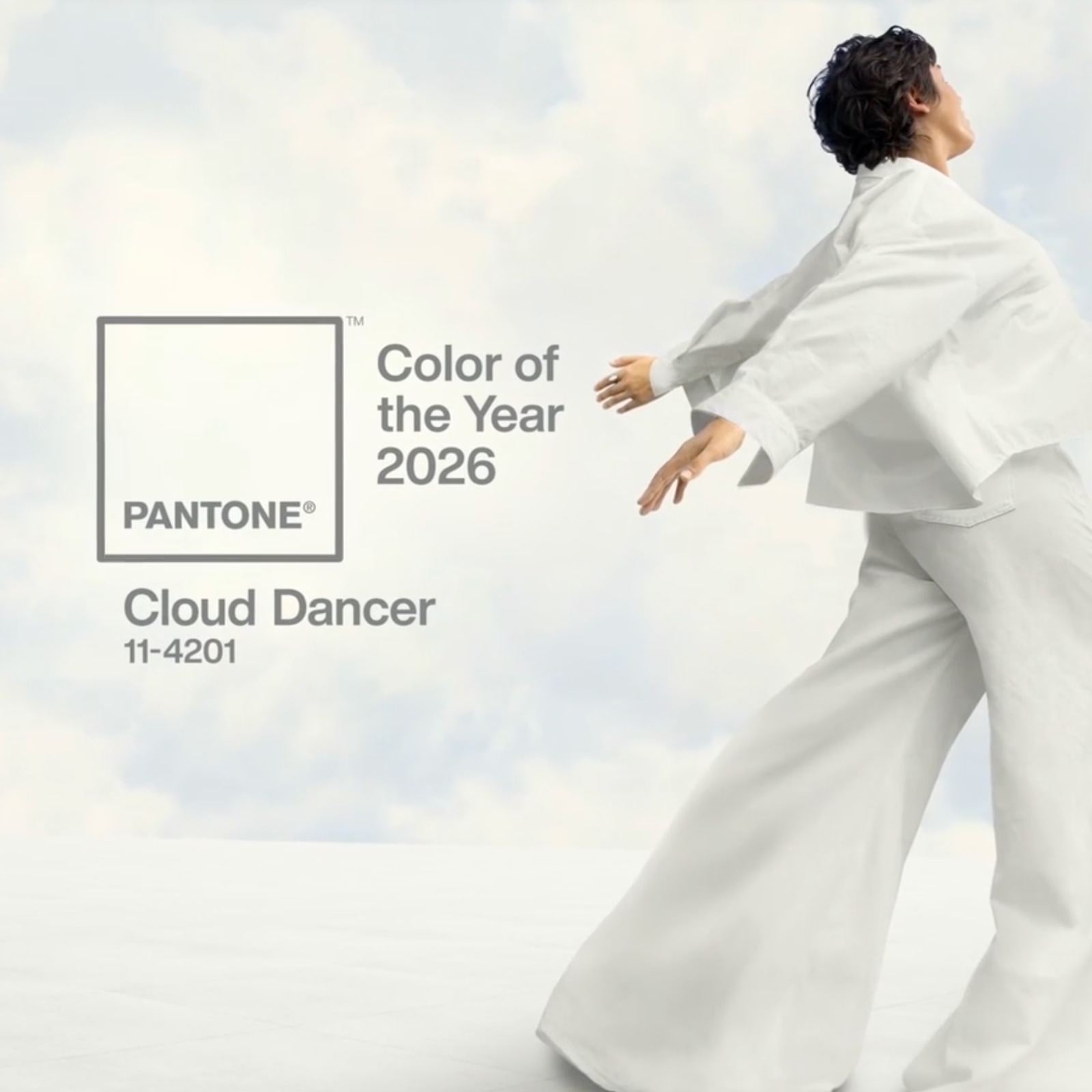 Pantone named PANTONE 11-4201 Cloud Dancer as its 2026 Color of the Year