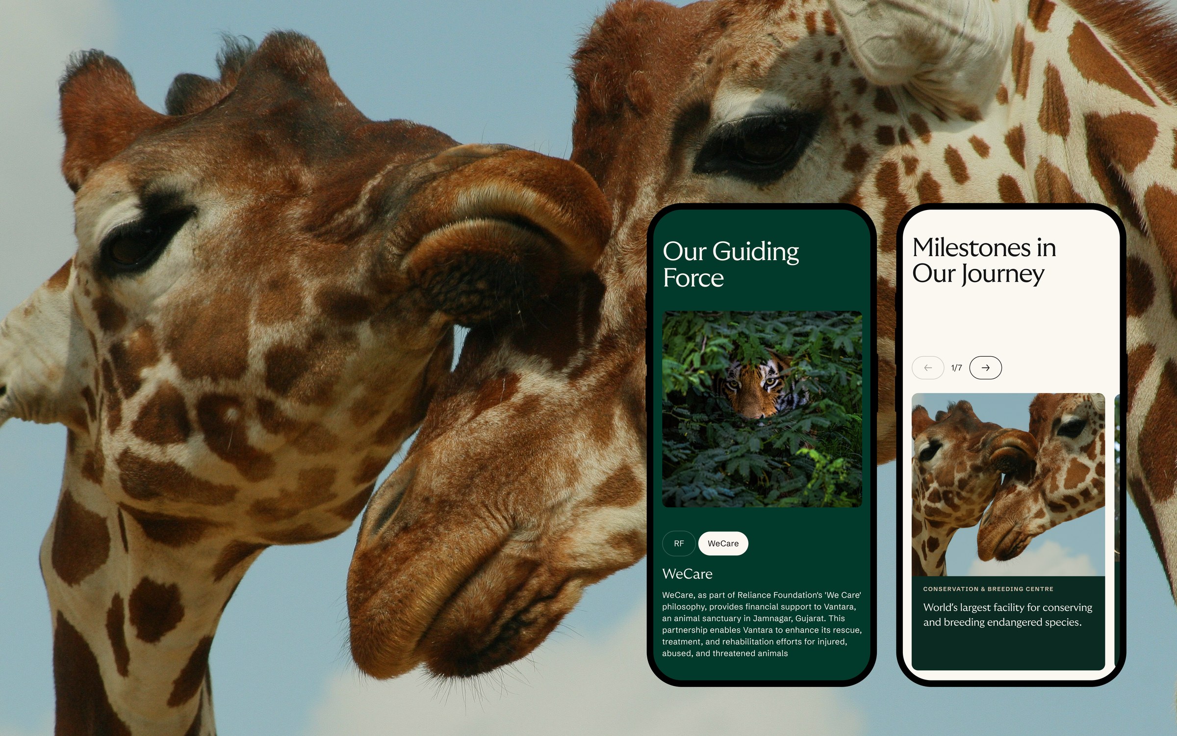 Vantara modular design system for website and publications by Clay