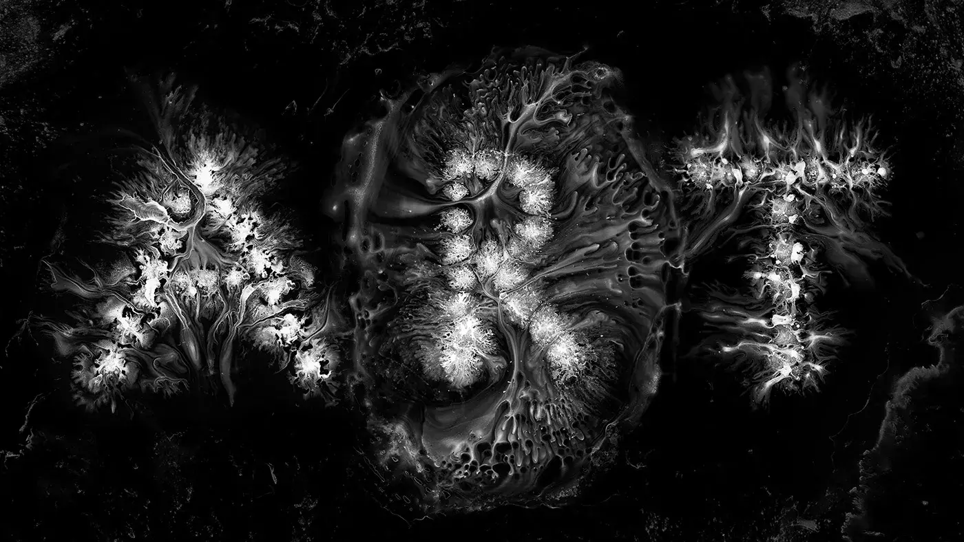 Motion Design and Typography: Liquid Calligraphy