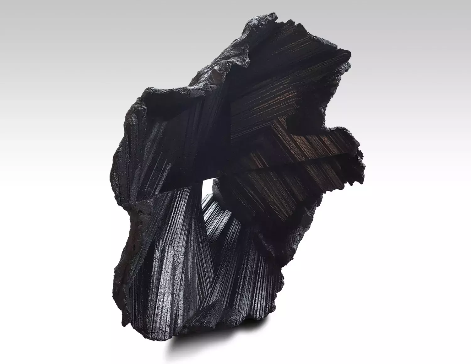 Contemporary Sculptures by Deane McGahan