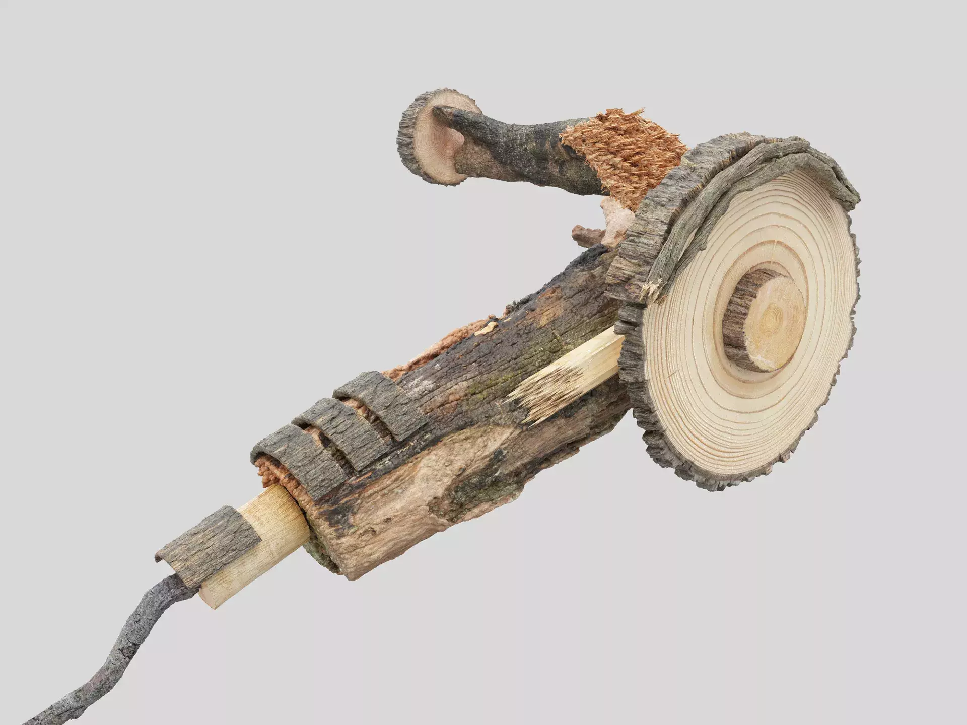 TOOLS - 3D Digital Art