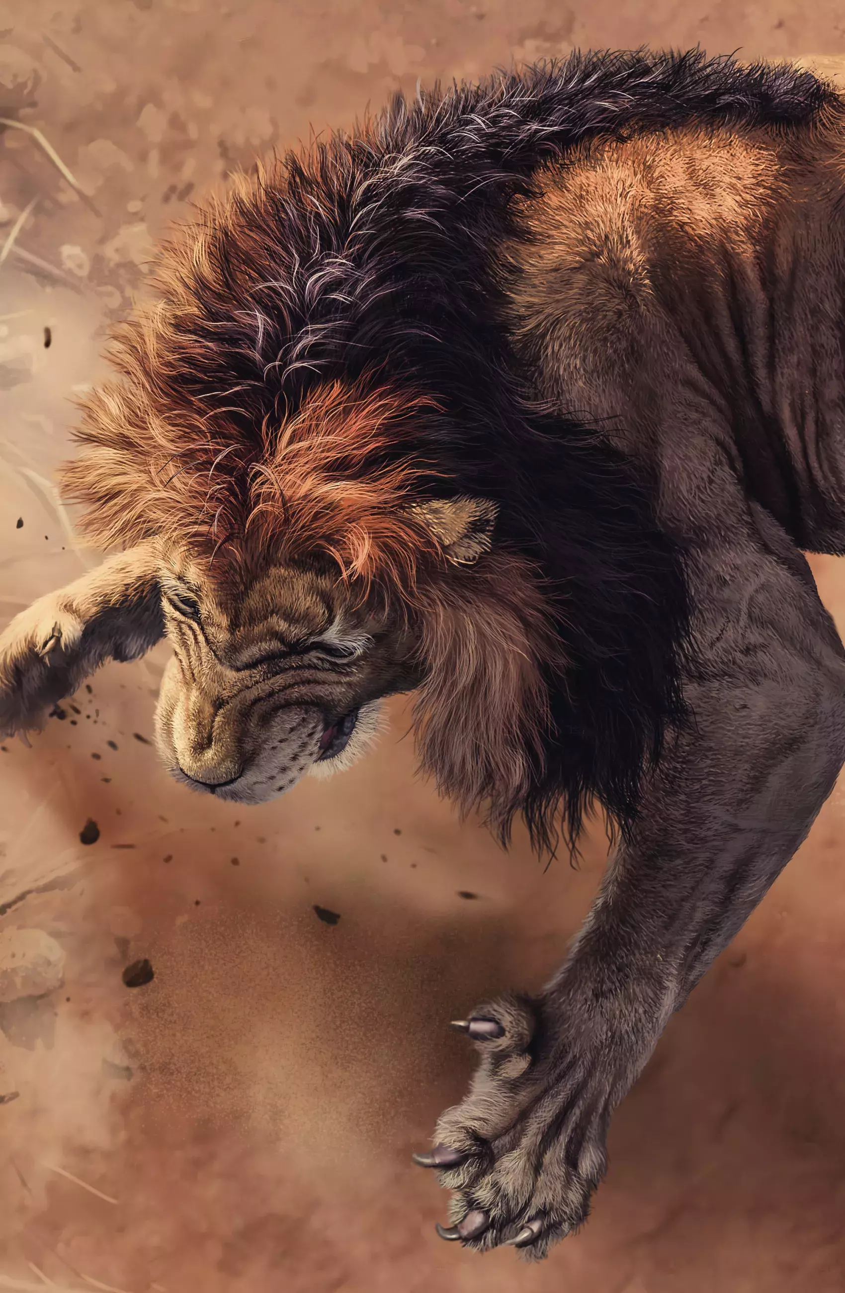 Daily Design Inspiration