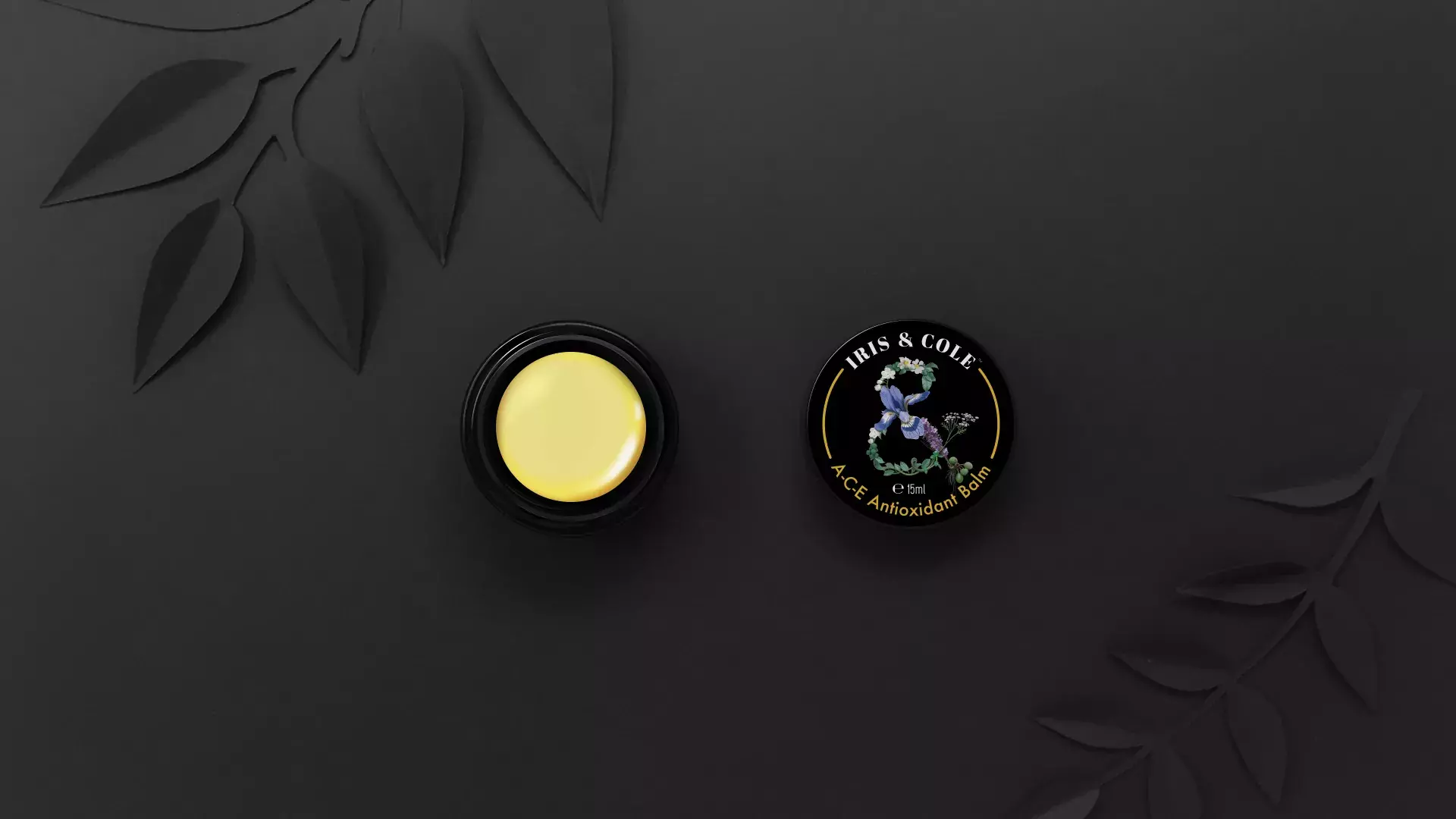 Iris & Cole - Luxury Artisanal Brand Identity