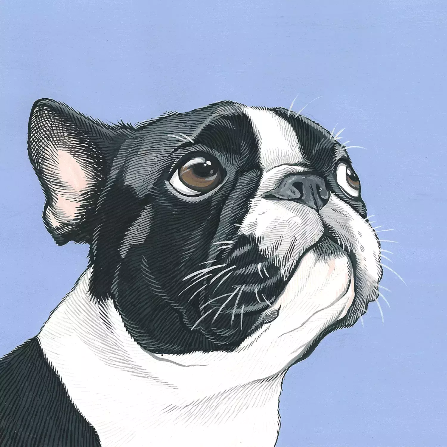 Gouache on Paper Illustrations by Manda Comisari