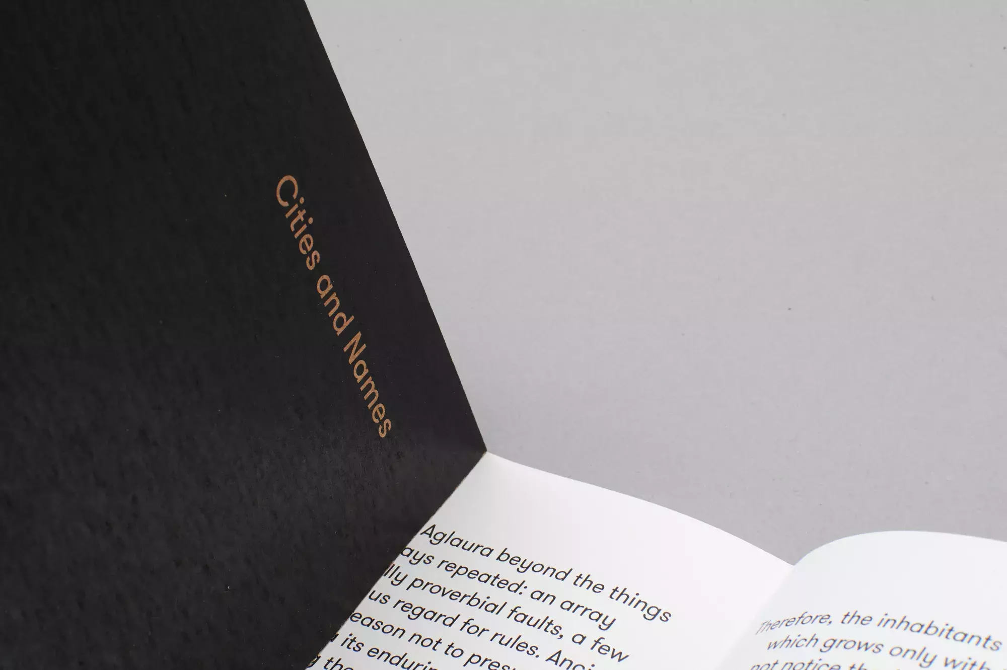 Elegant Editorial Design Project: Cities and Names