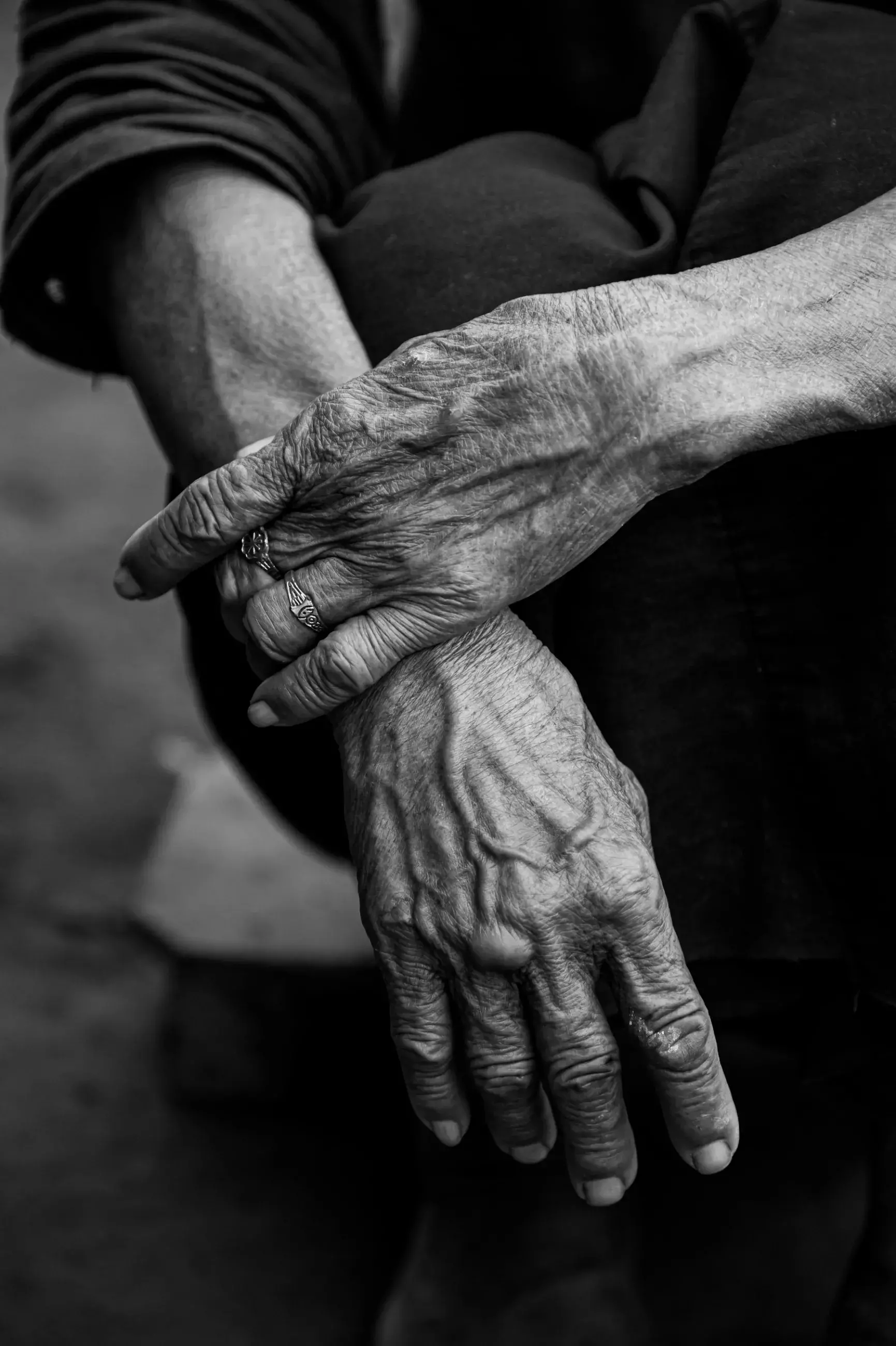 Lightroom and Adobe XD Release Significant Updates