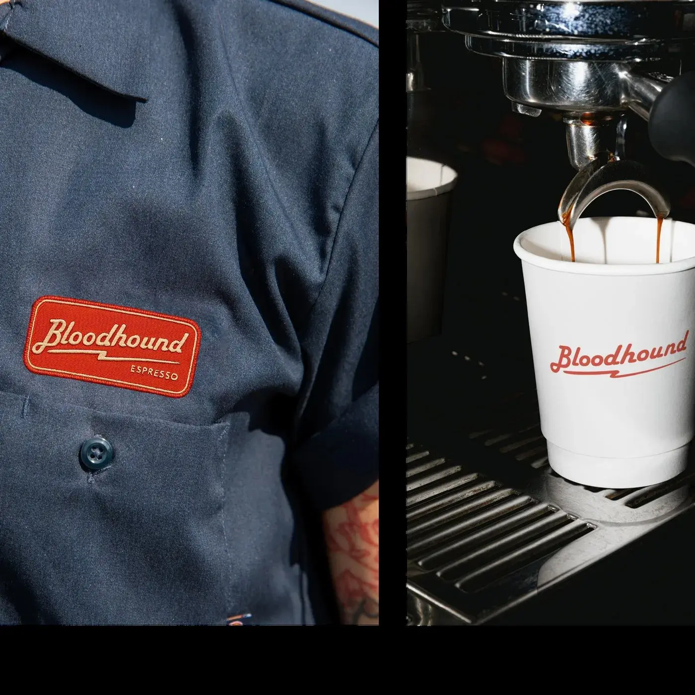 Bloodhound cafe branding identity with lightning bolt mark