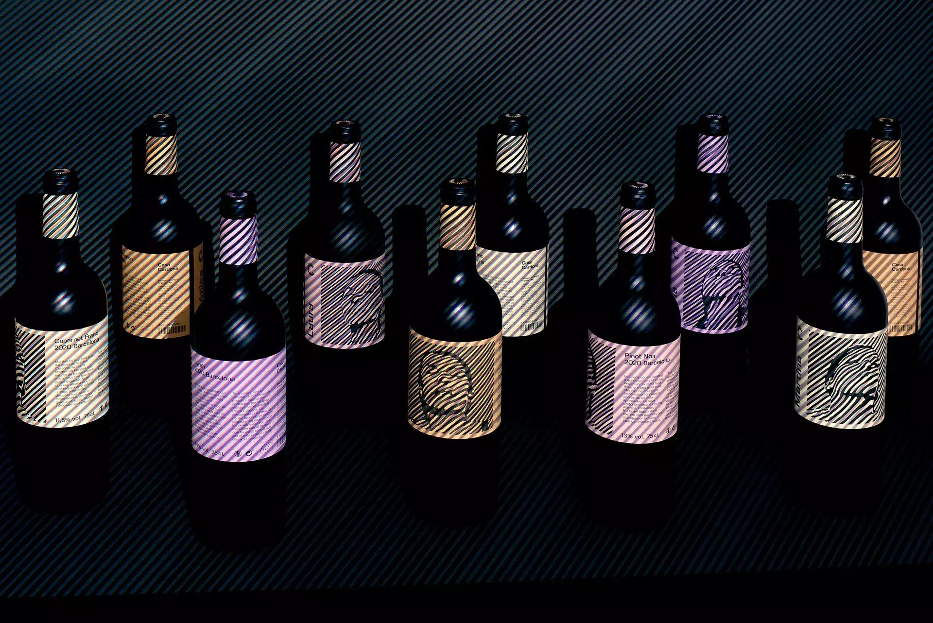 Stylish Branding and Visual Identity for Casa Cardona