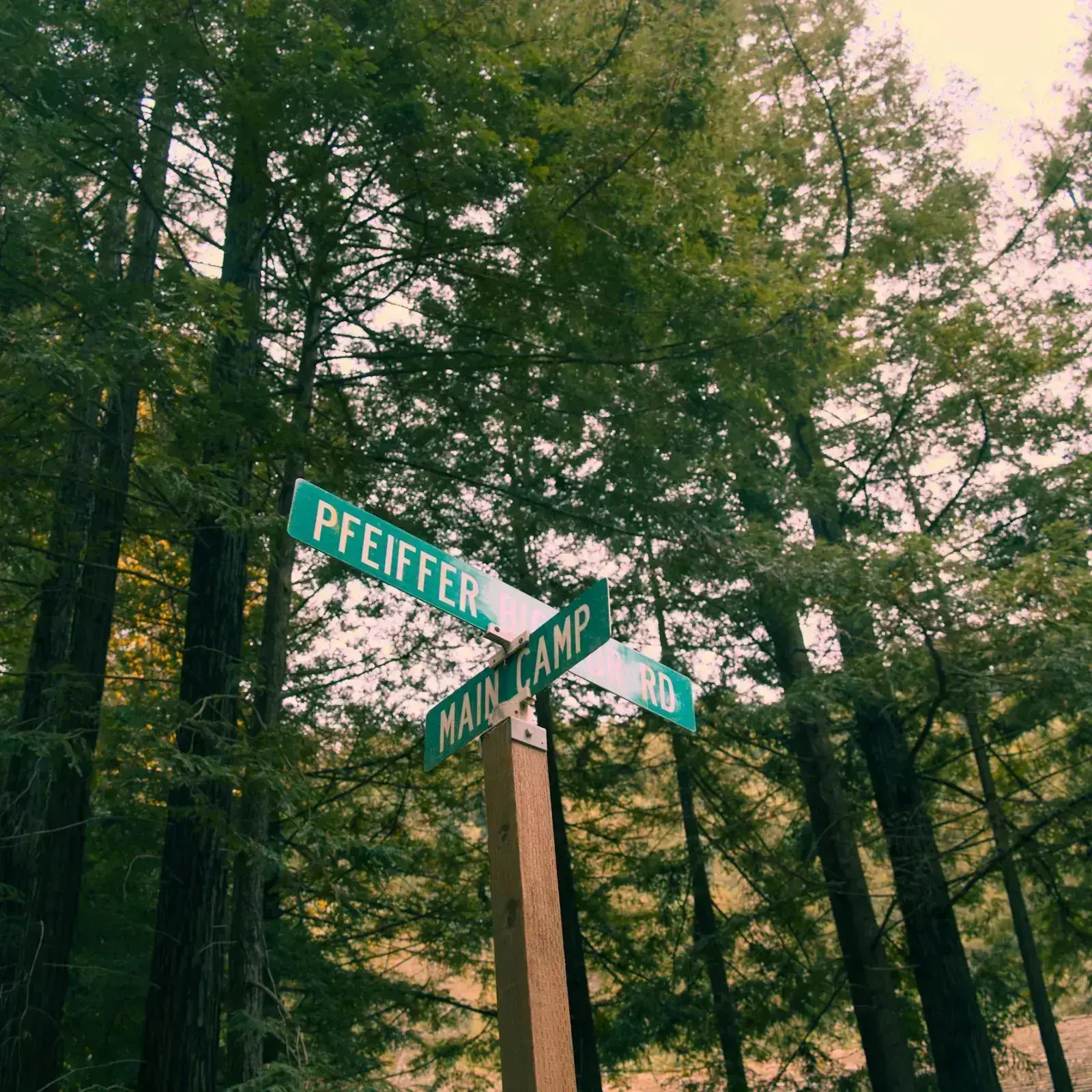 Disconnect to Reconnect: Big Sur