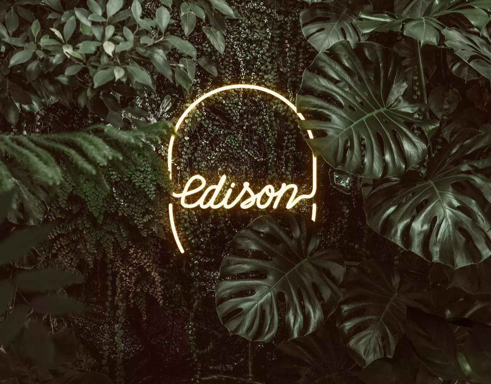 Branding for Edison Botânica & Bar