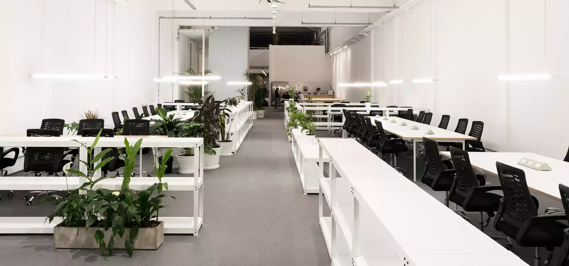 Branding and Visual Identity for Huerta