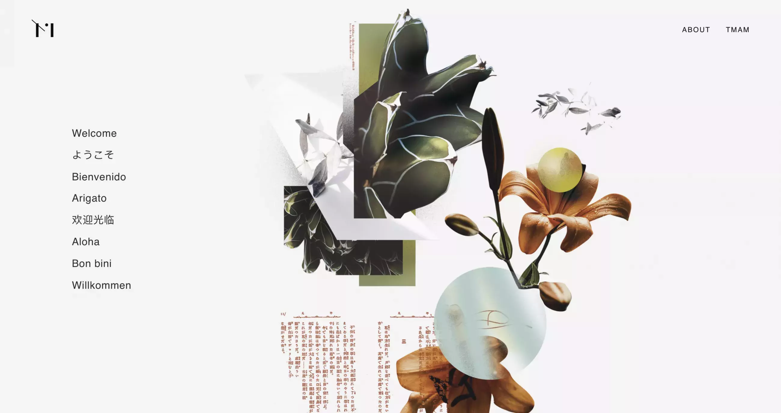 Monthly Portfolio Inspiration with Semplice - June 2020