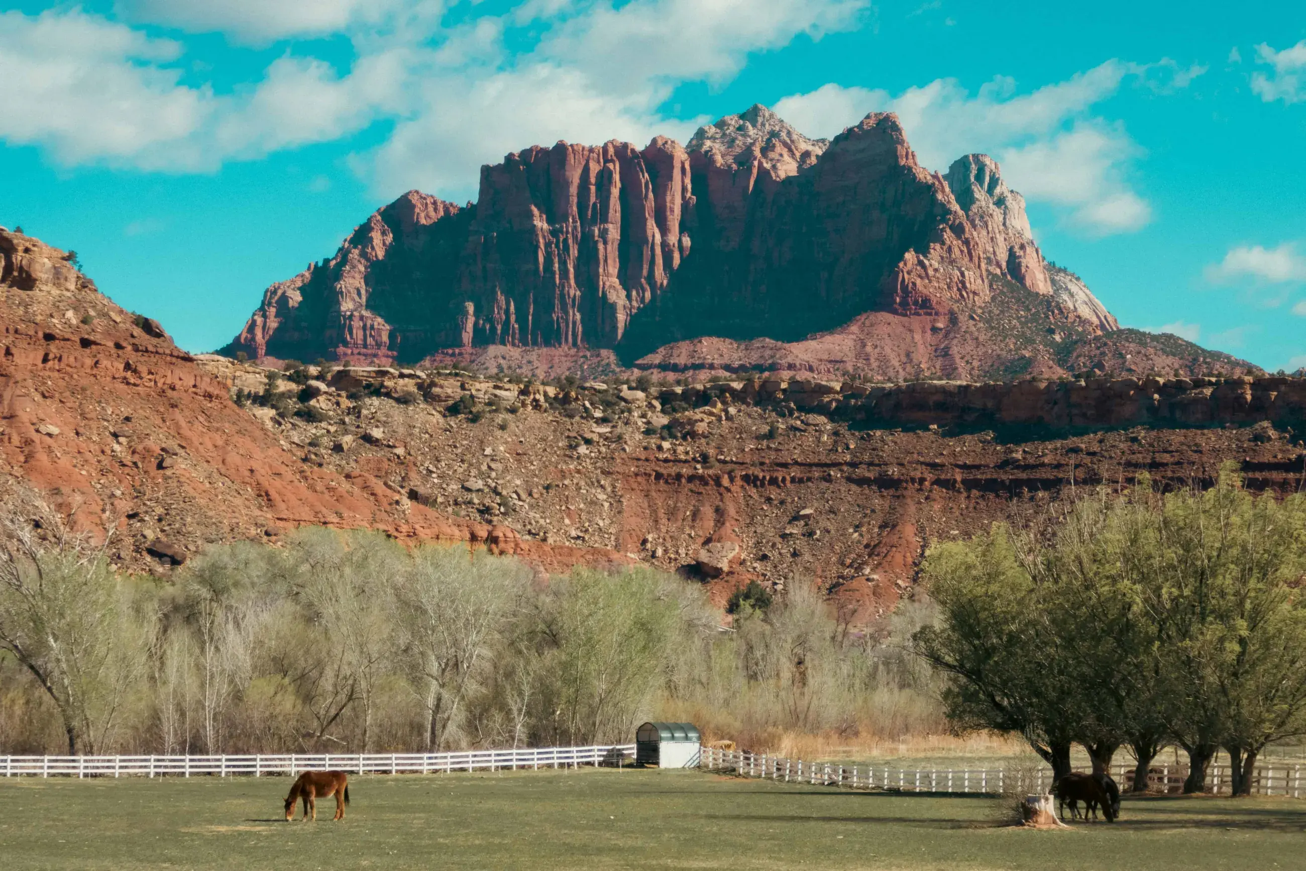 Design Meets Nature: U.S. National Parks Open Their Gates for Free on August 4
