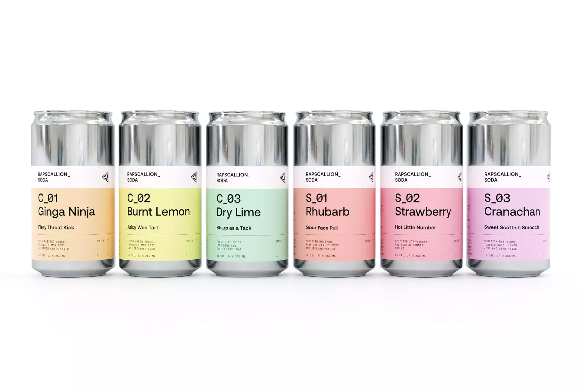 Amazing Branding and Visual Identity for Rapscallion Soda