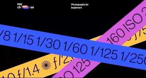 Say Cheese: Photography for beginners