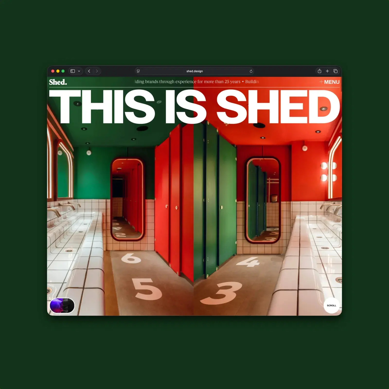 Shed.design award-winning web design Awwwards Site of the Day portfolio