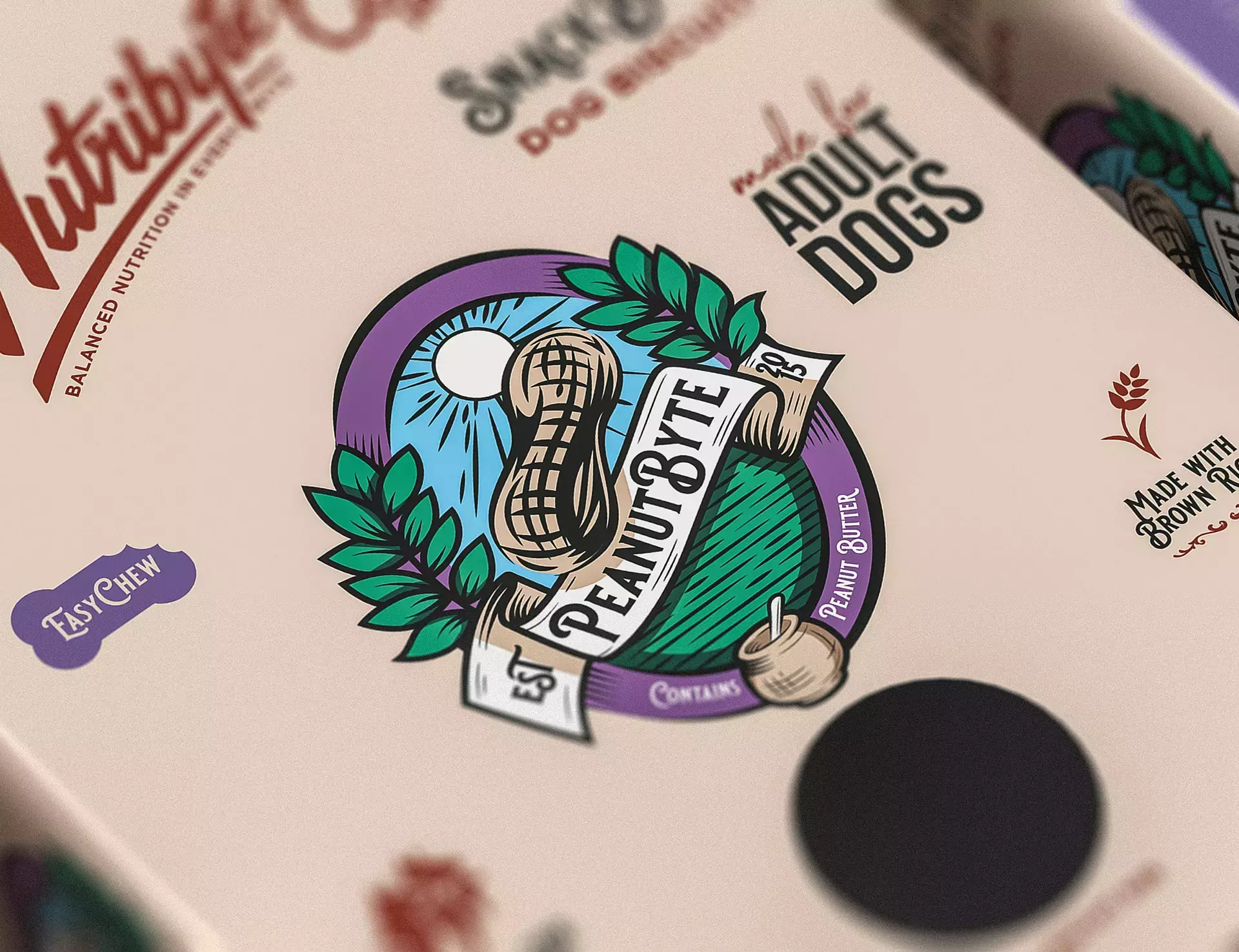 Beautiful Branding and Packaging Design for SnackBytes