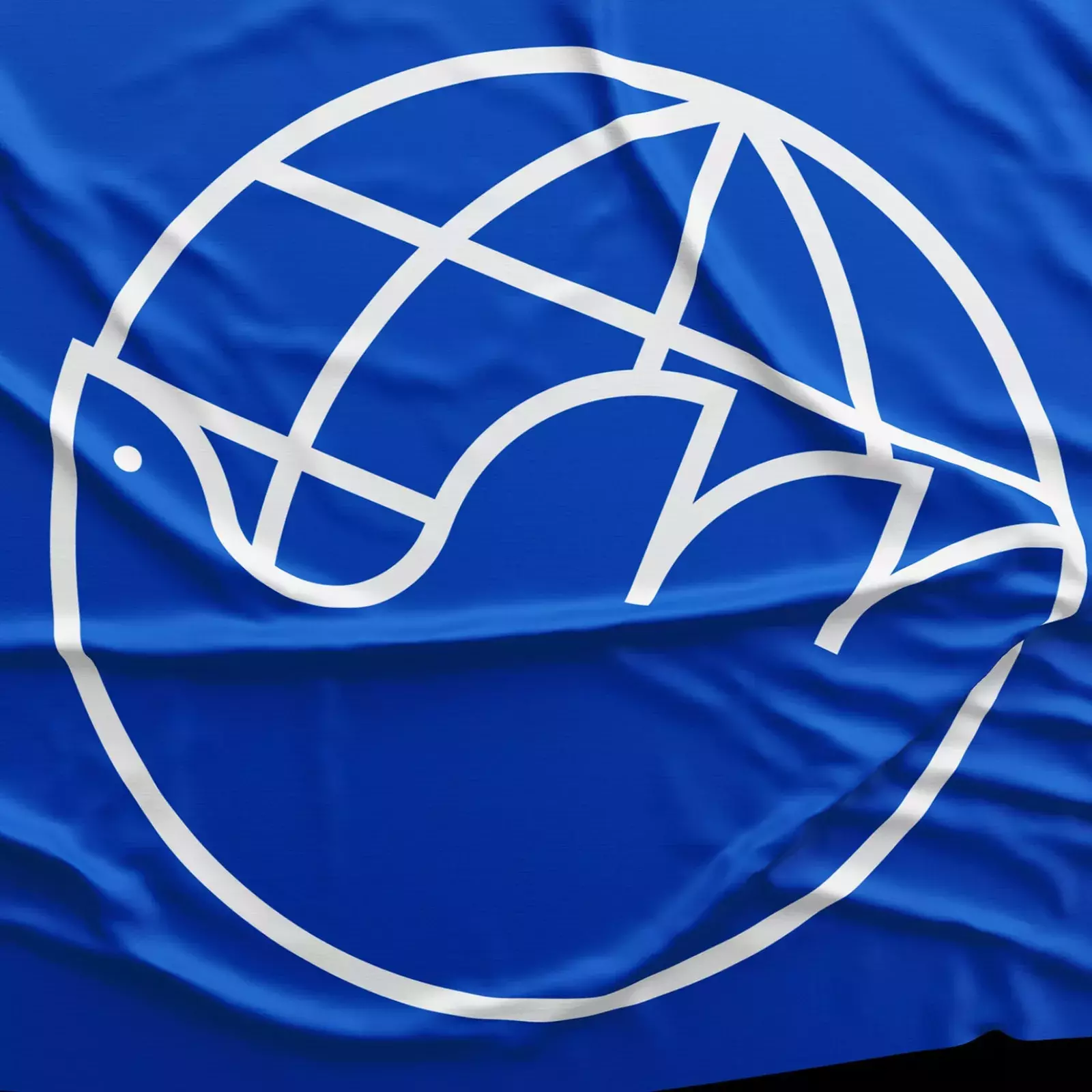 The Earth Charter — Branding and Visual Identity