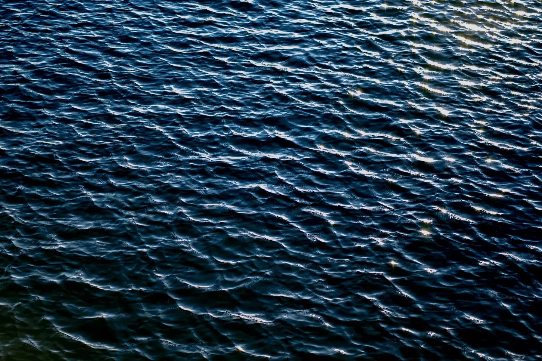 New Year, New Wallpapers for your Phone or Computer