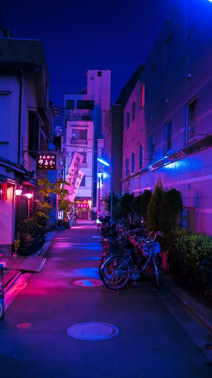 Osore Ichi-Kagetsu, Lightroom CC Presets inspired by Cyberpunk