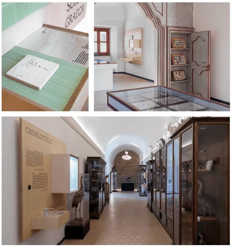 Dotdotdot reimagines Museo Minà Palumbo with inclusive design, interactive tech, and storytelling.