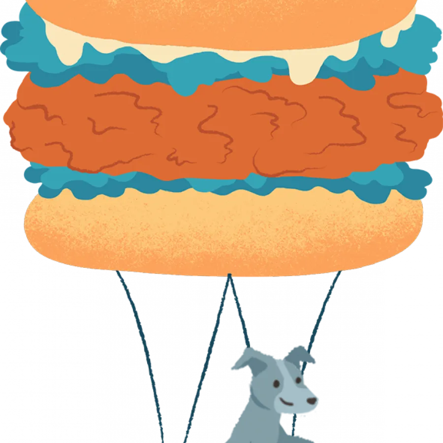 Wonderful World of Treats dog treat packaging by Fishfinger — burger balloon illustration with schnauzer over teal hills